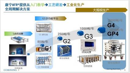 微通道反應(yīng)器技術(shù)與工業(yè)化應(yīng)用專題講座暨專家咨詢會(huì)圓滿結(jié)束